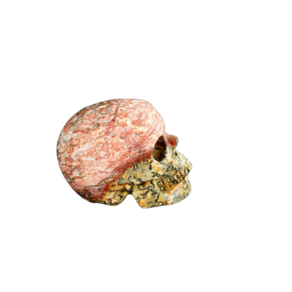 2.2" Red Leopard skin stone Crystal Skull Carving - Unique Piece #LS03
