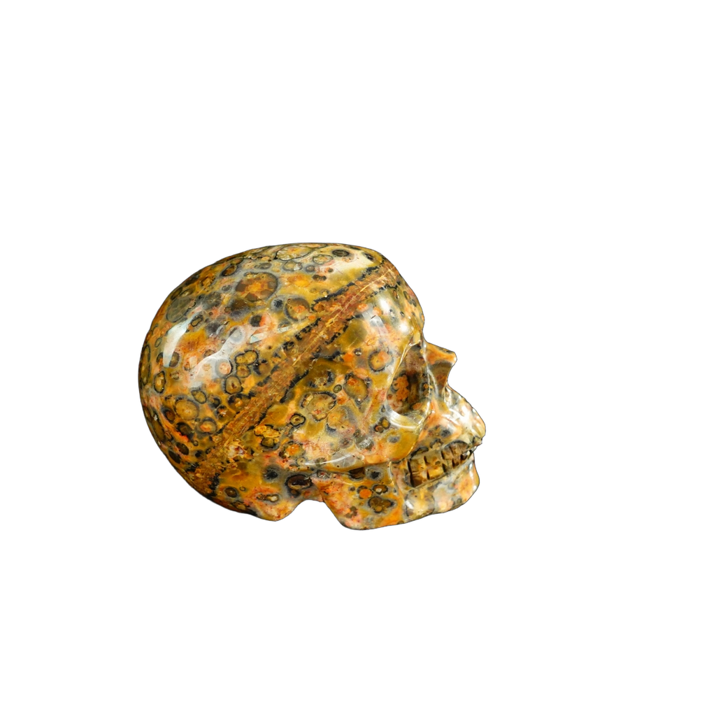 2.2" Red Leopard skin stone Crystal Skull Carving - Unique Piece #LS09