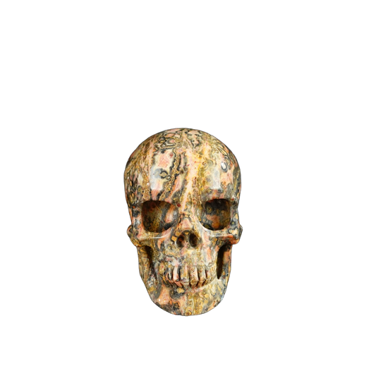 2.2" Red Leopard skin stone Crystal Skull Carving - Unique Piece #LS13