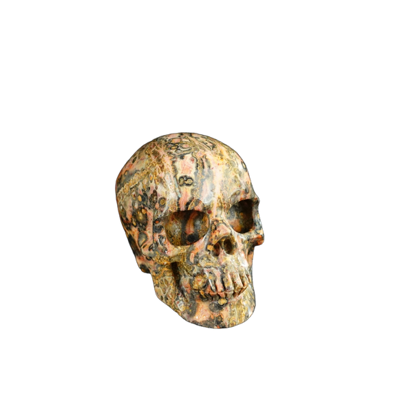 2.2" Red Leopard skin stone Crystal Skull Carving - Unique Piece #LS13 - alternate view