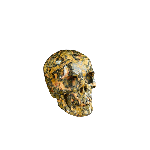 2.2" Red Leopard skin stone Crystal Skull Carving - Unique Piece #LS16 - alternate view