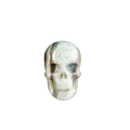 2.2" Red Crazy Lace Agate Crystal Skull Carving - Unique Piece #RC03