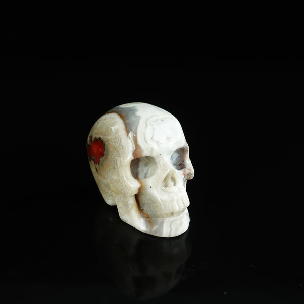 2.2" Red Crazy Lace Agate Crystal Skull Carving - Unique Piece #RC03 - alternate view