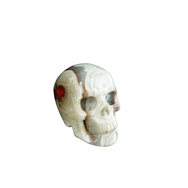 2.2" Red Crazy Lace Agate Crystal Skull Carving - Unique Piece #RC03 - alternate view