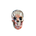 2.2" Red Crazy Lace Agate Crystal Skull Carving - Unique Piece #RC08