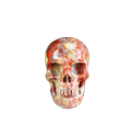 2.2" Red Crazy Lace Agate Crystal Skull Carving - Unique Piece #RC09