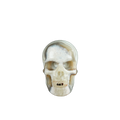 2.2" Red Crazy Lace Agate Crystal Skull Carving - Unique Piece #RC12