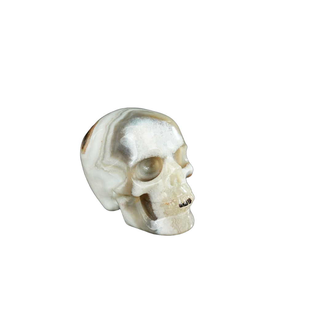 2.2" Red Crazy Lace Agate Crystal Skull Carving - Unique Piece #RC12