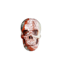2.2" Red Crazy Lace Agate Crystal Skull Carving - Unique Piece #RC14