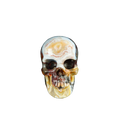2.2" Red Crazy Lace Agate Crystal Skull Carving - Unique Piece #RC16