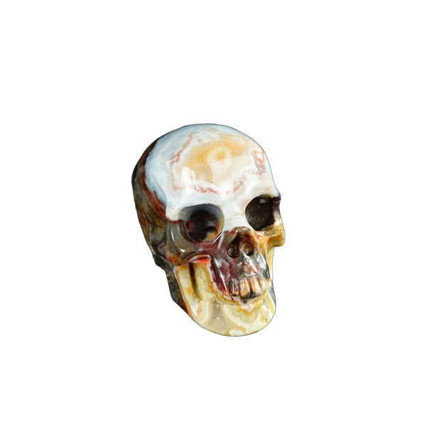 2.2" Red Crazy Lace Agate Crystal Skull Carving - Unique Piece #RC16 - alternate view
