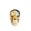 2.2" Red Crazy Lace Agate Crystal Skull Carving - Unique Piece #RC20