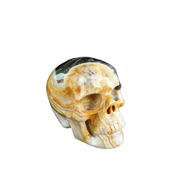2.2" Red Crazy Lace Agate Crystal Skull Carving - Unique Piece #RC20 - alternate view