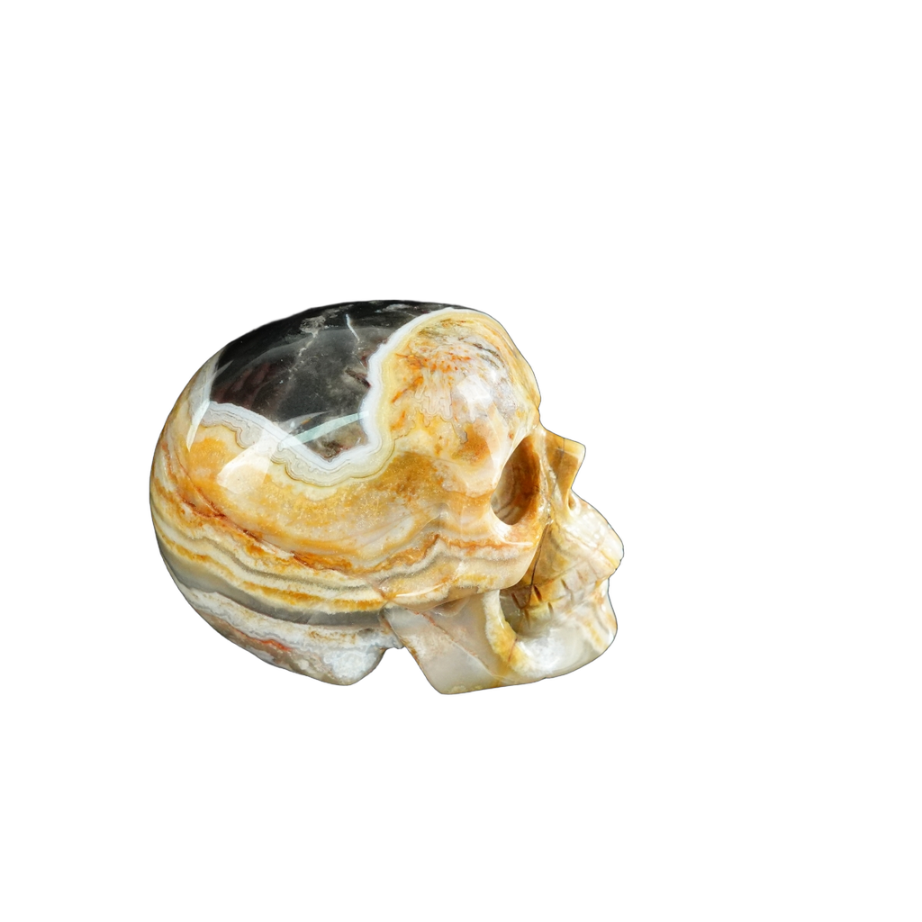 2.2" Red Crazy Lace Agate Crystal Skull Carving - Unique Piece #RC20