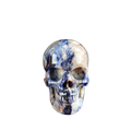 2.2" Sodalite Crystal Skull Carving - Unique Piece #SL14