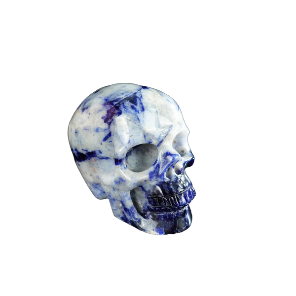 2.2" Sodalite Crystal Skull Carving - Unique Piece #SL18 - alternate view