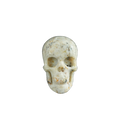 2.2" White Opal Crystal Skull Carving - Unique Piece #WO16