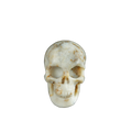 2.2" White Opal Crystal Skull Carving - Unique Piece #WO17
