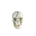 2.2" White Opal Crystal Skull Carving - Unique Piece #WO19
