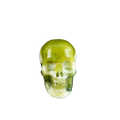 2.2" Serpentine Crystal Skull Carving - Unique Piece #XJ19