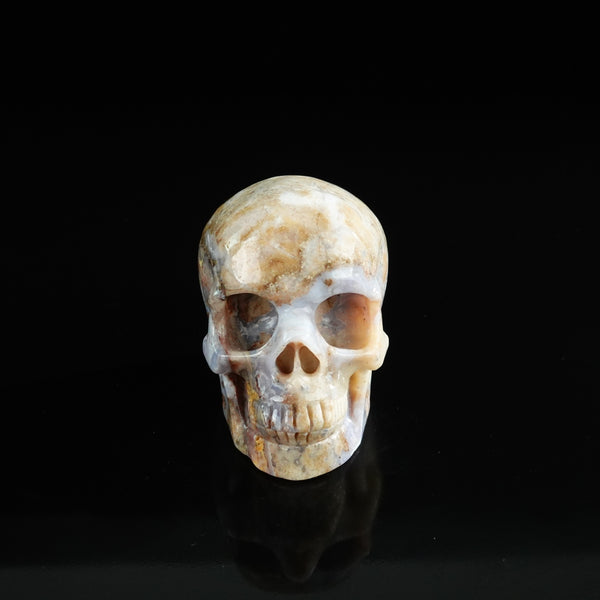 3.0" Blue Flower Agate Crystal Skull Carving - Unique Piece #BF01