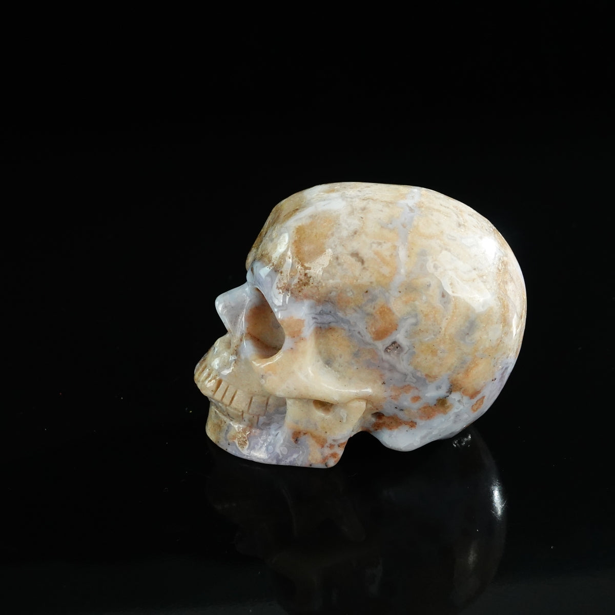 3.0" Blue Flower Agate Crystal Skull Carving - Unique Piece #BF01