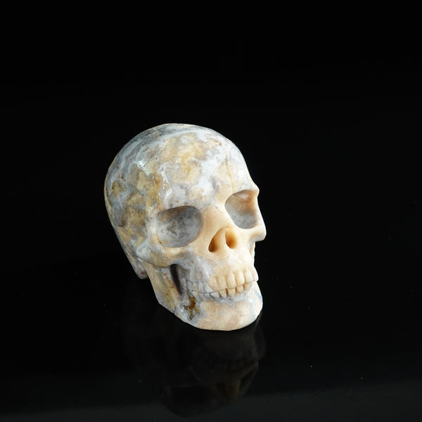 3.0" Blue Flower Agate Crystal Skull Carving - Unique Piece #BF04 - alternate view