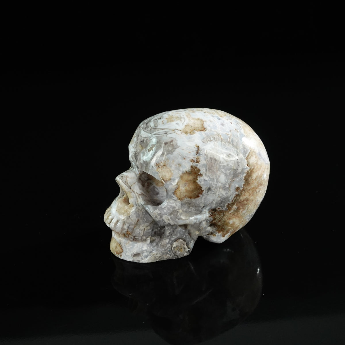 3.0" Blue Flower Agate Crystal Skull Carving - Unique Piece #BF05