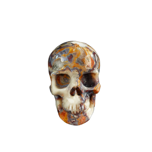 3.0" Blue Flower Agate Crystal Skull Carving - Unique Piece #BF08