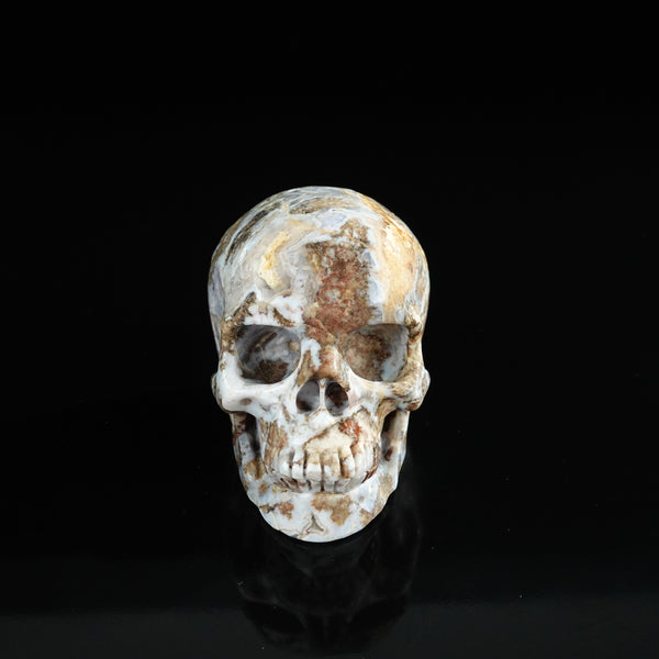 3.0" Blue Flower Agate Crystal Skull Carving - Unique Piece #BF09