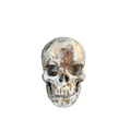 3.0" Blue Flower Agate Crystal Skull Carving - Unique Piece #BF09