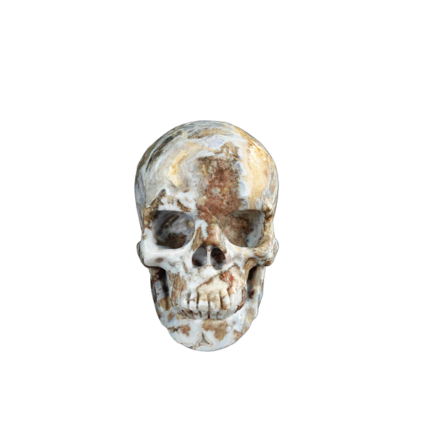 3.0" Blue Flower Agate Crystal Skull Carving - Unique Piece #BF09