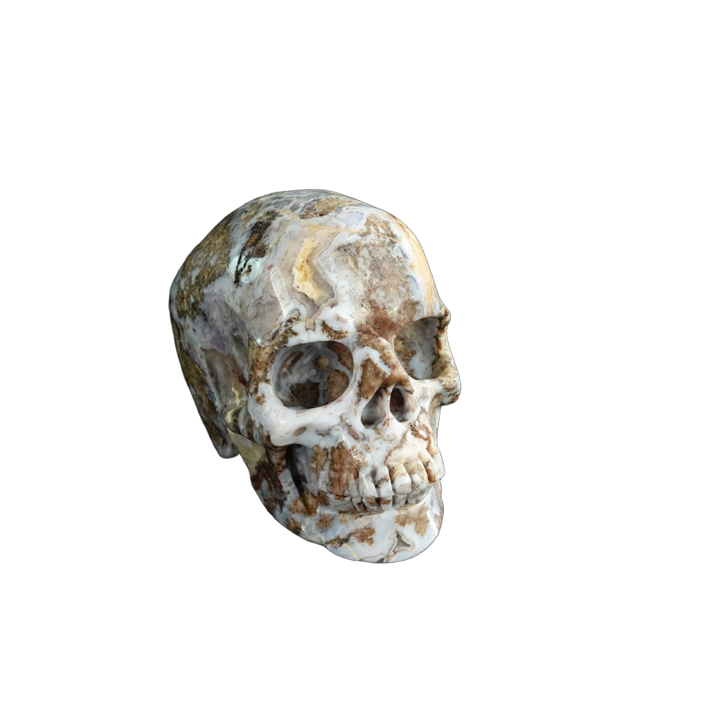 3.0" Blue Flower Agate Crystal Skull Carving - Unique Piece #BF09