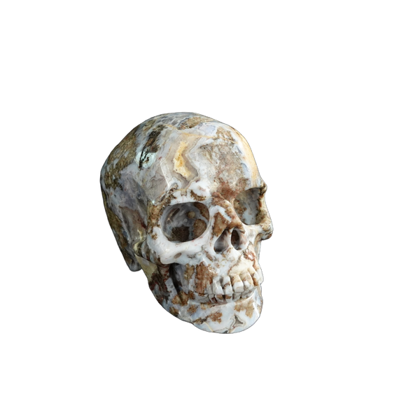 3.0" Blue Flower Agate Crystal Skull Carving - Unique Piece #BF09 - alternate view