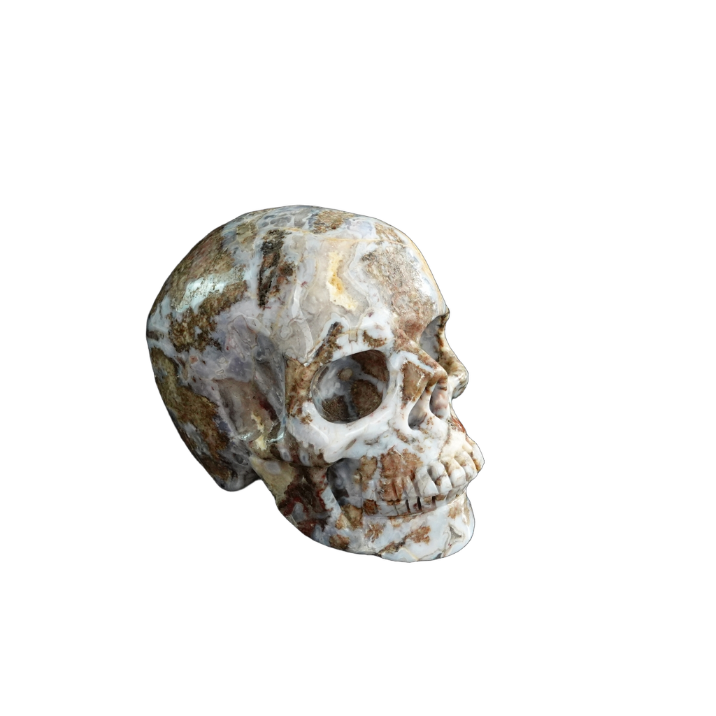 3.0" Blue Flower Agate Crystal Skull Carving - Unique Piece #BF09