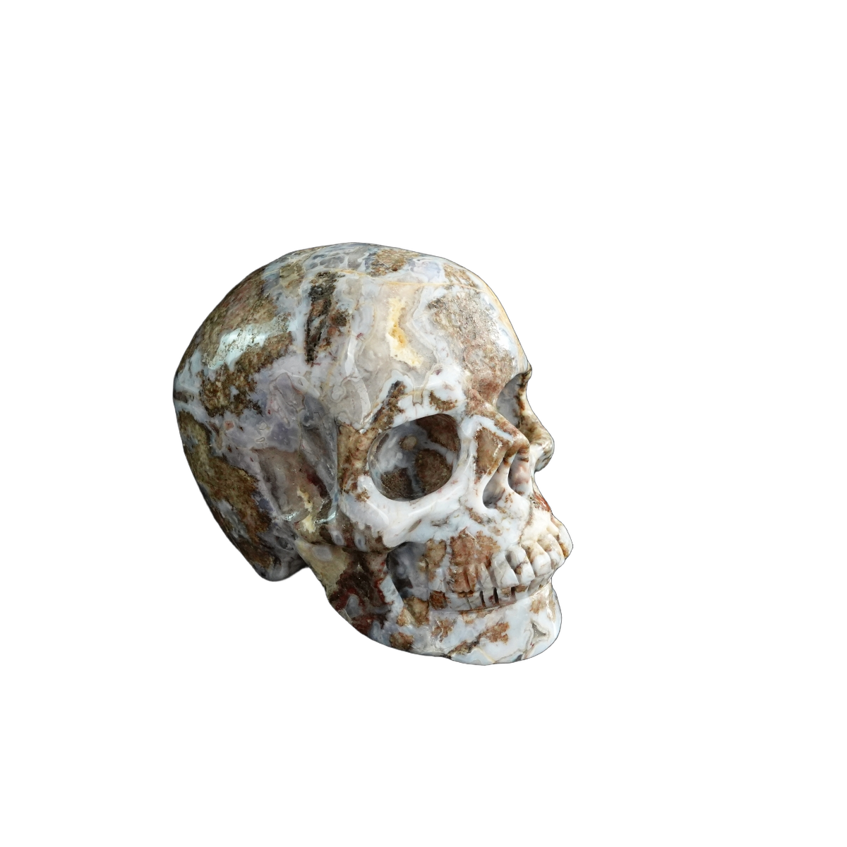 3.0" Blue Flower Agate Crystal Skull Carving - Unique Piece #BF09
