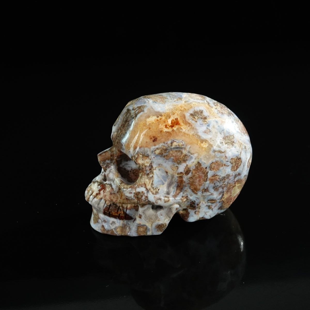 3.0" Blue Flower Agate Crystal Skull Carving - Unique Piece #BF09
