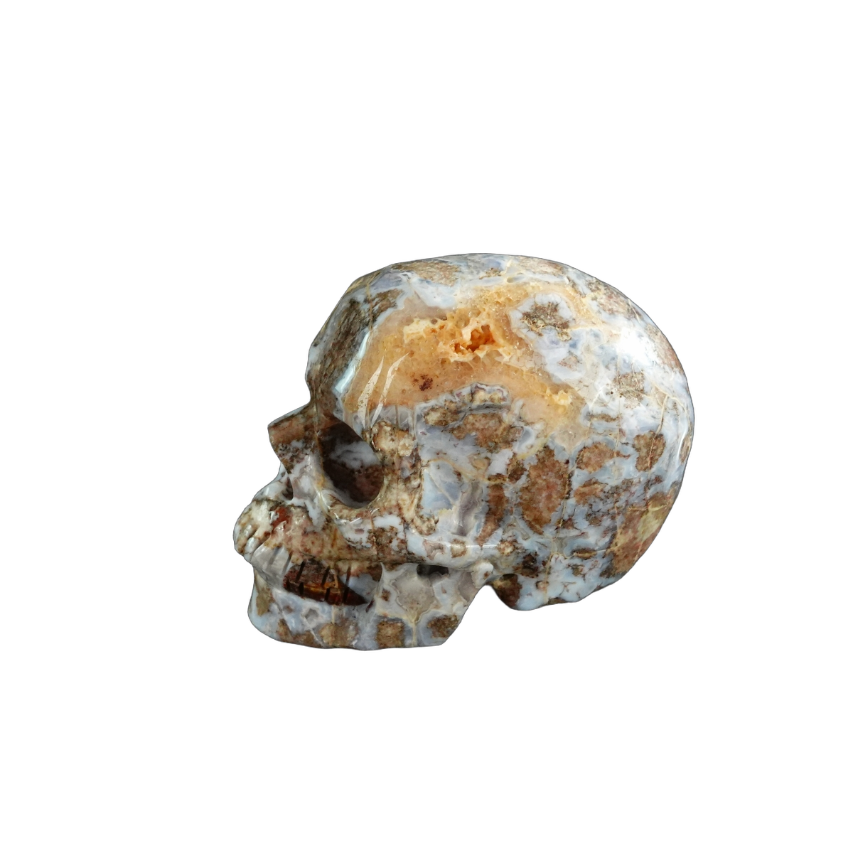 3.0" Blue Flower Agate Crystal Skull Carving - Unique Piece #BF09