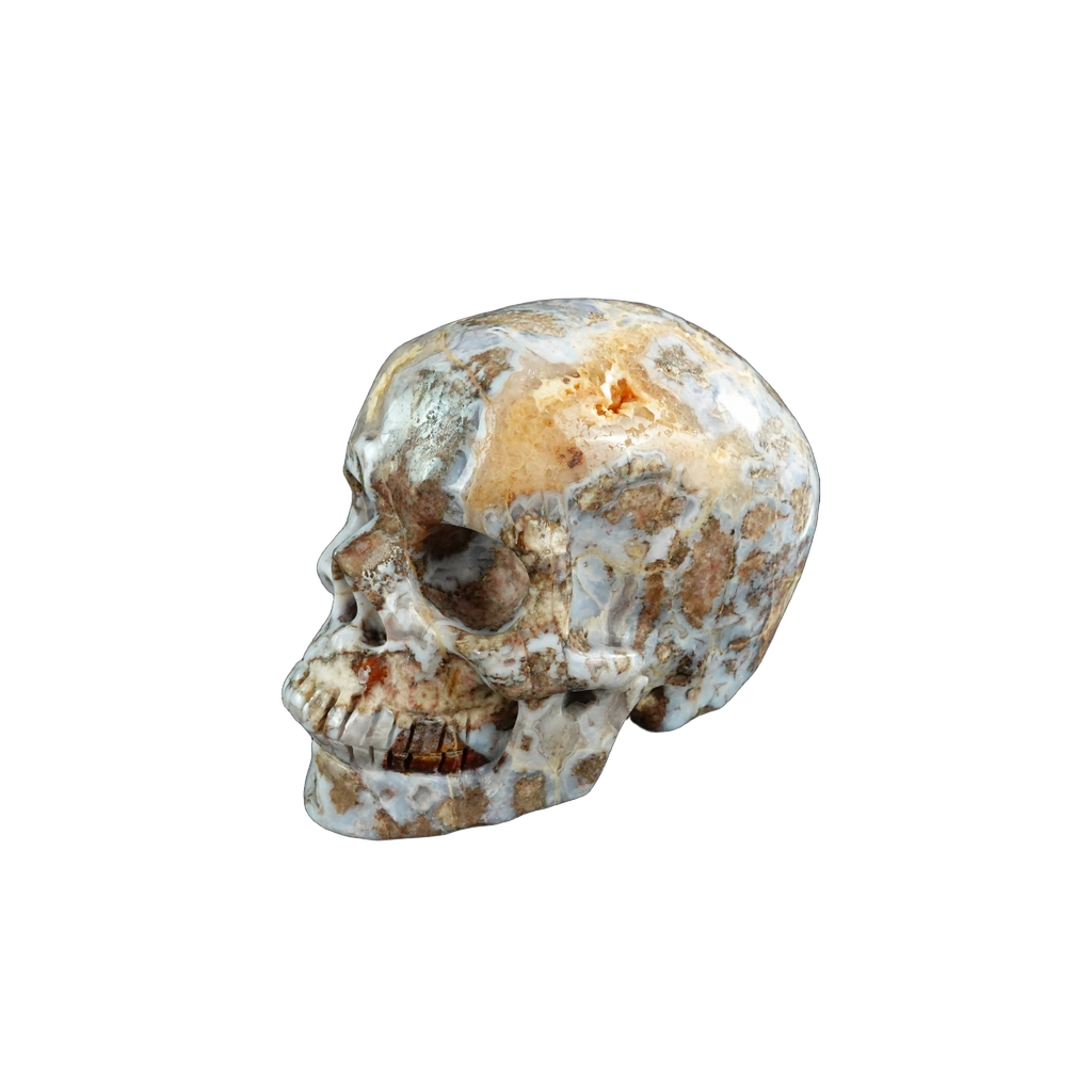 3.0" Blue Flower Agate Crystal Skull Carving - Unique Piece #BF09