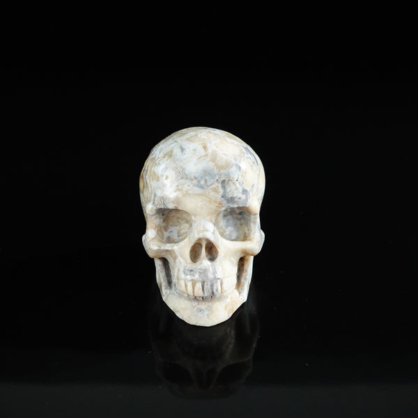 3.0" Blue Flower Agate Crystal Skull Carving - Unique Piece #BF10