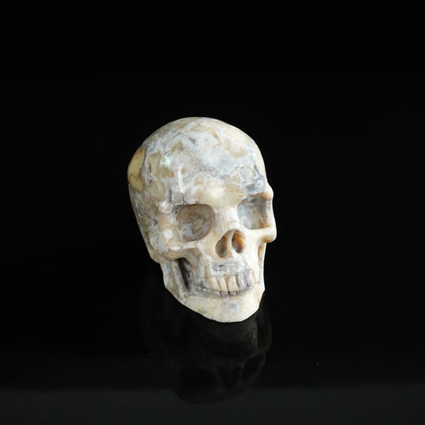 3.0" Blue Flower Agate Crystal Skull Carving - Unique Piece #BF10 - alternate view
