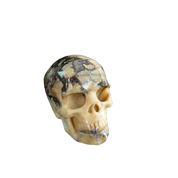 3.0" Blue Flower Agate Crystal Skull Carving - Unique Piece #BF11 - alternate view