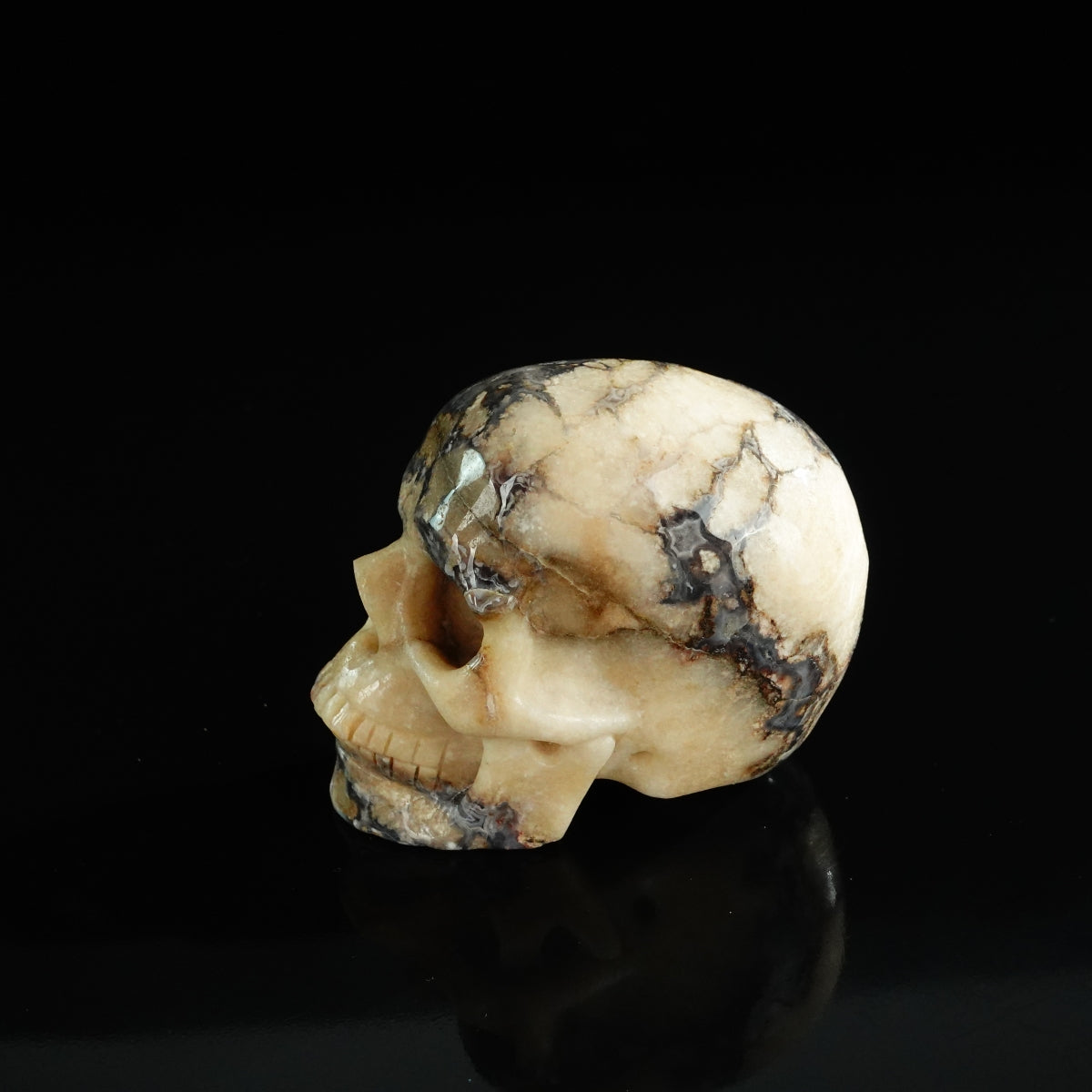 3.0" Blue Flower Agate Crystal Skull Carving - Unique Piece #BF11