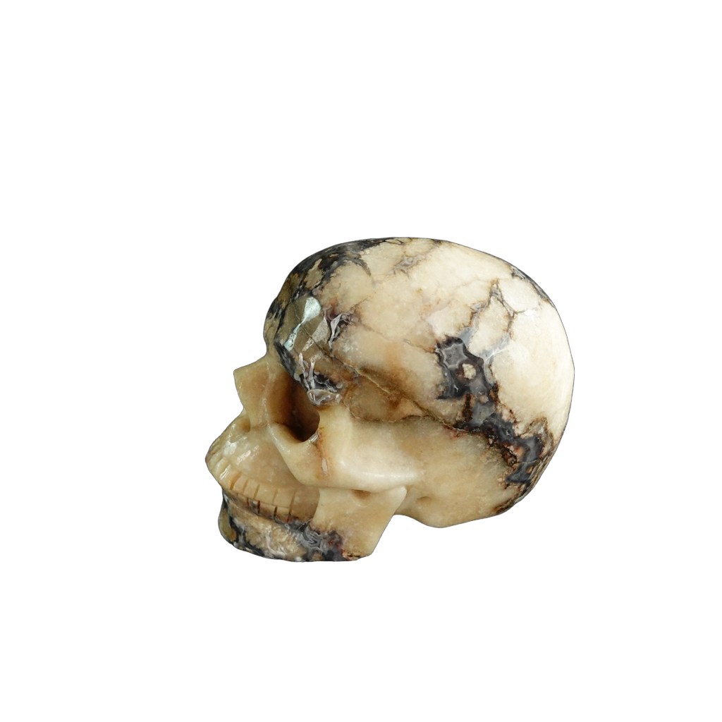 3.0" Blue Flower Agate Crystal Skull Carving - Unique Piece #BF11