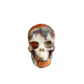 3.0" Blue Flower Agate Crystal Skull Carving - Unique Piece #BF12