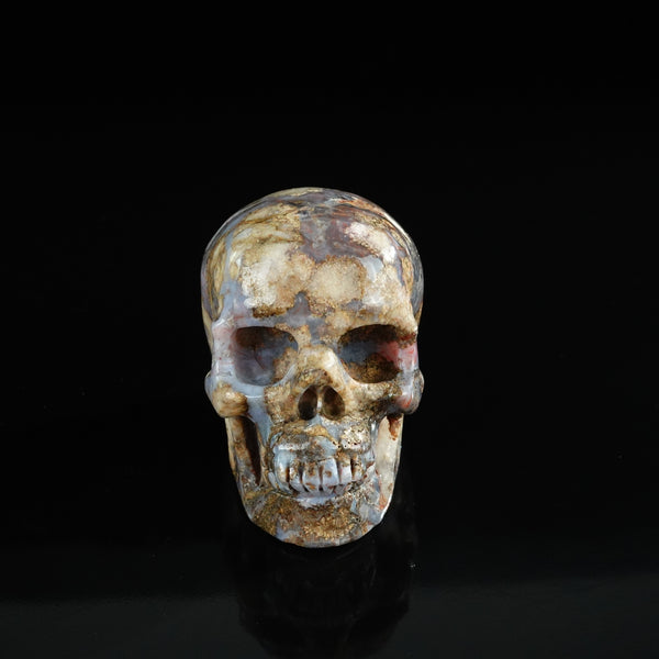 3.0" Blue Flower Agate Crystal Skull Carving - Unique Piece #BF14