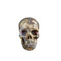 3.0" Blue Flower Agate Crystal Skull Carving - Unique Piece #BF14