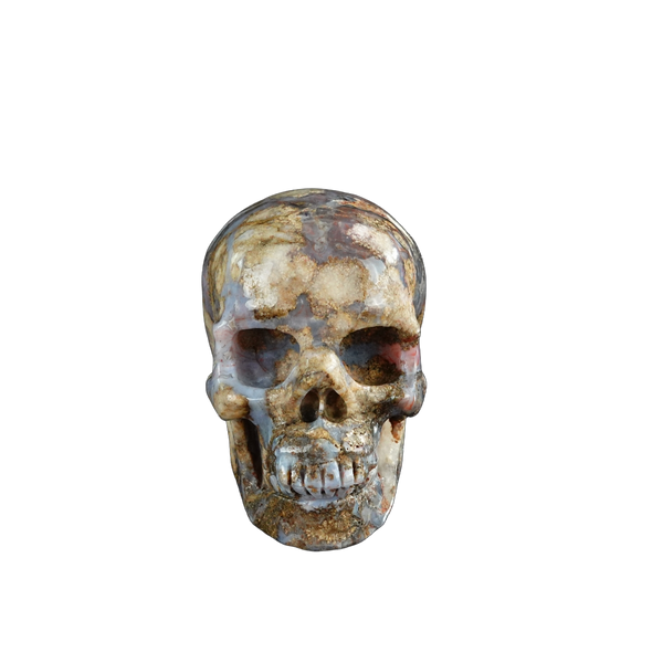 3.0" Blue Flower Agate Crystal Skull Carving - Unique Piece #BF14