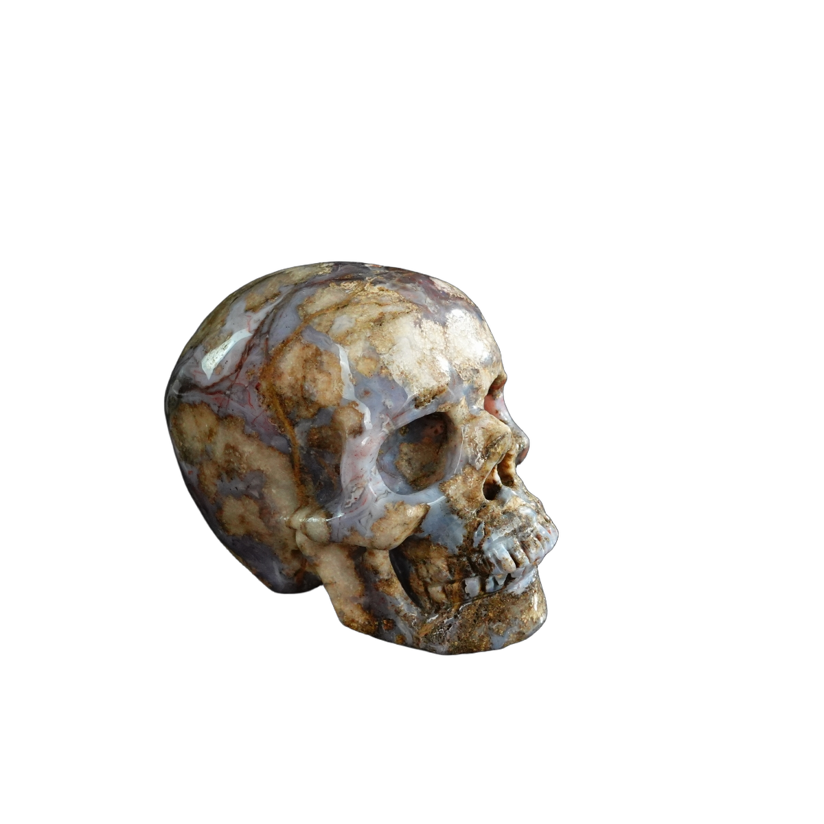 3.0" Blue Flower Agate Crystal Skull Carving - Unique Piece #BF14