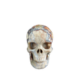 3.0" Blue Flower Agate Crystal Skull Carving - Unique Piece #BF16